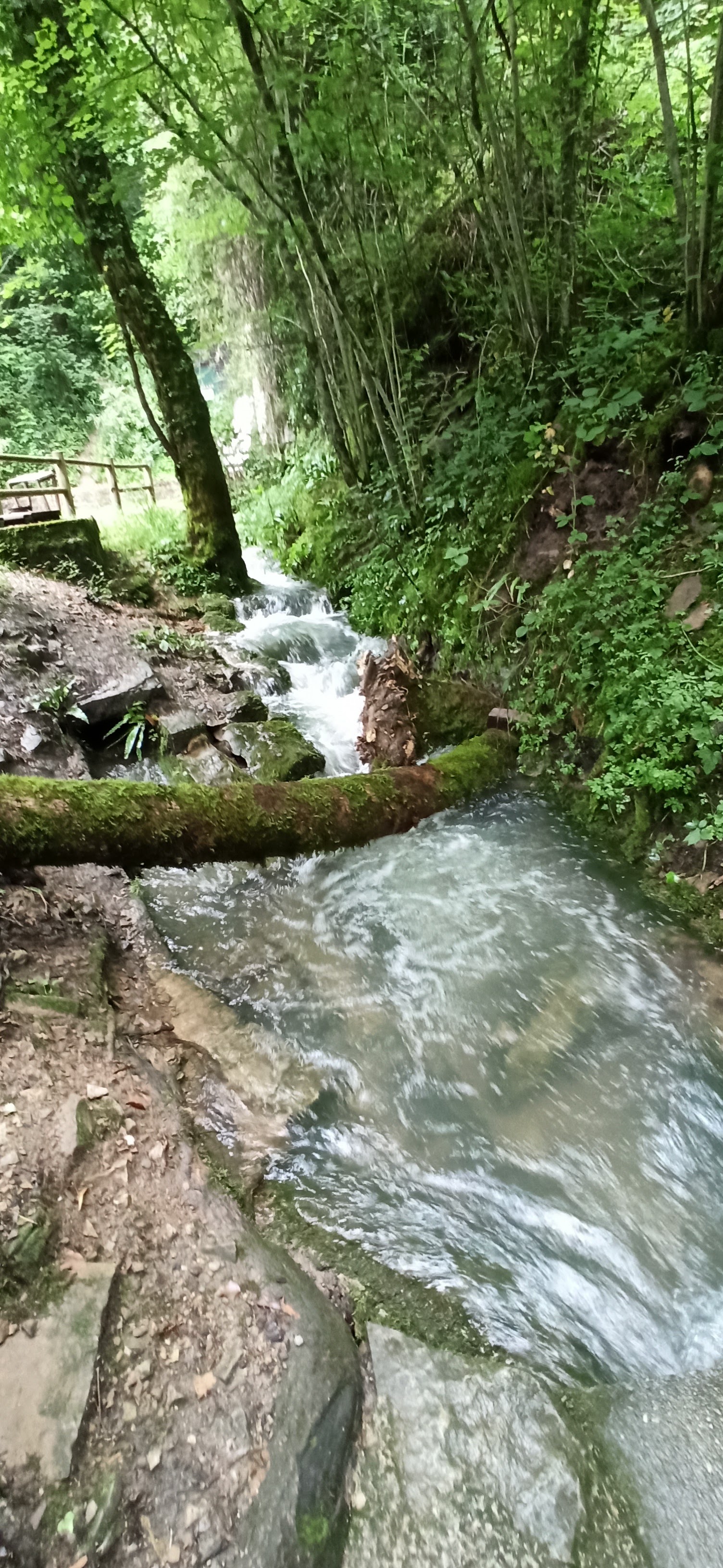 Photo n° 1 de l'avis de Picatchu.a fait le 14/07/2021 à 15:54