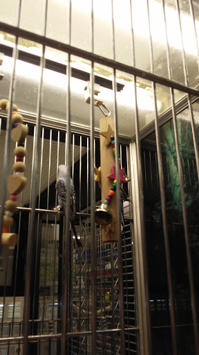 Pet Supply Store «PetSmart», reviews and photos, 4013 Wisconsin 28, Kohler, WI 53081, USA