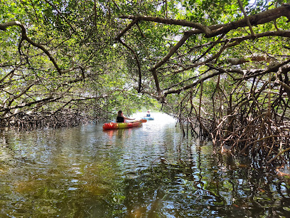 Ted Sperling Nature Park and mangrove tunnels