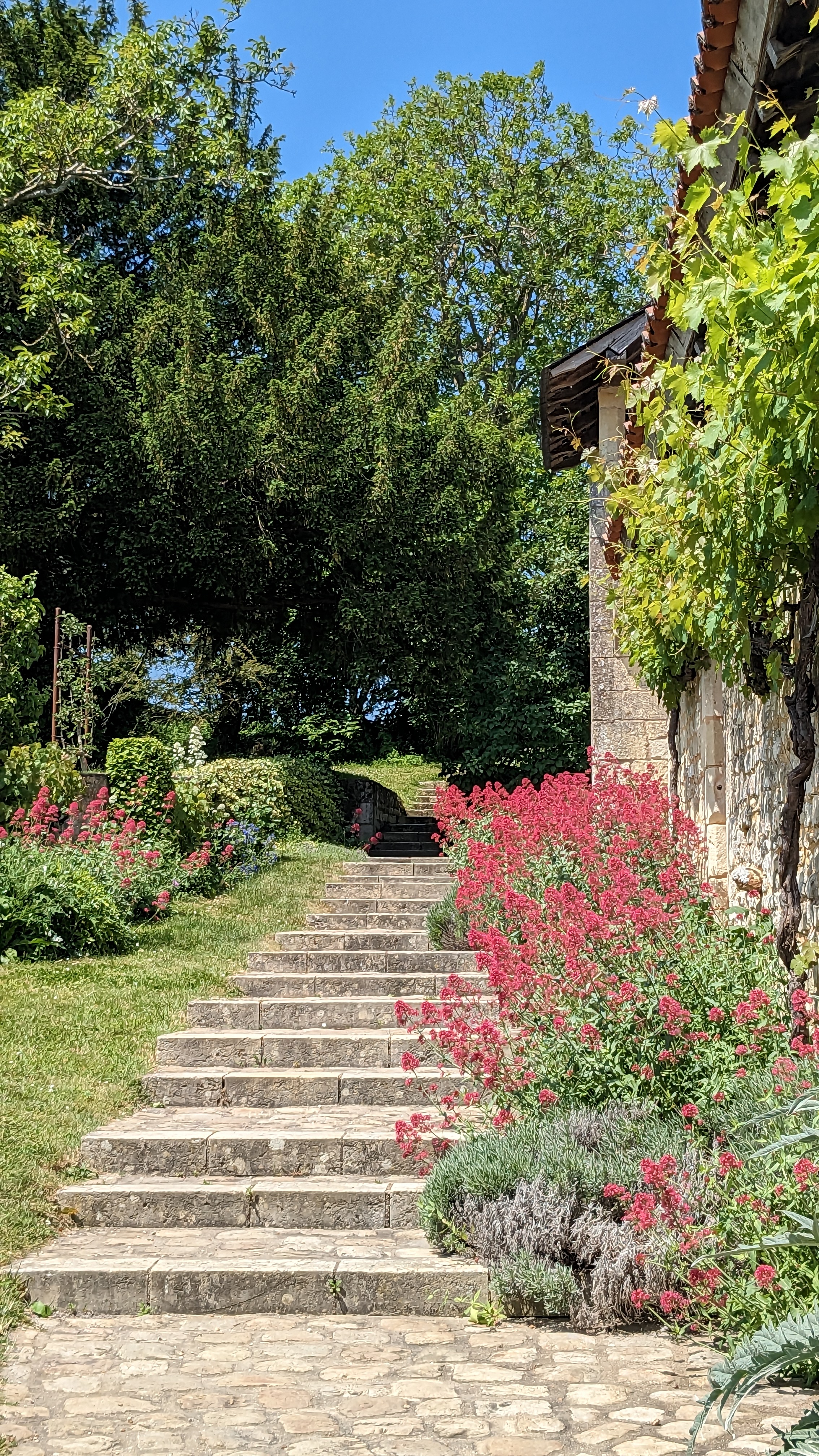 Photo n° 2 de l'avis de Marjorie.e fait le 28/05/2023 à 17:43