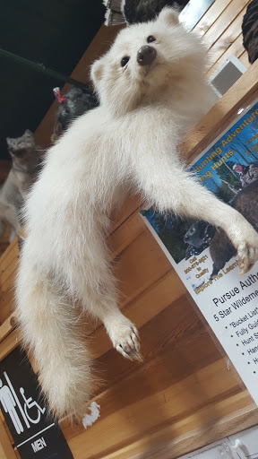 Sporting Goods Store «Midwestern Shooters Supply», reviews and photos, 191 Church St, Lomira, WI 53048, USA