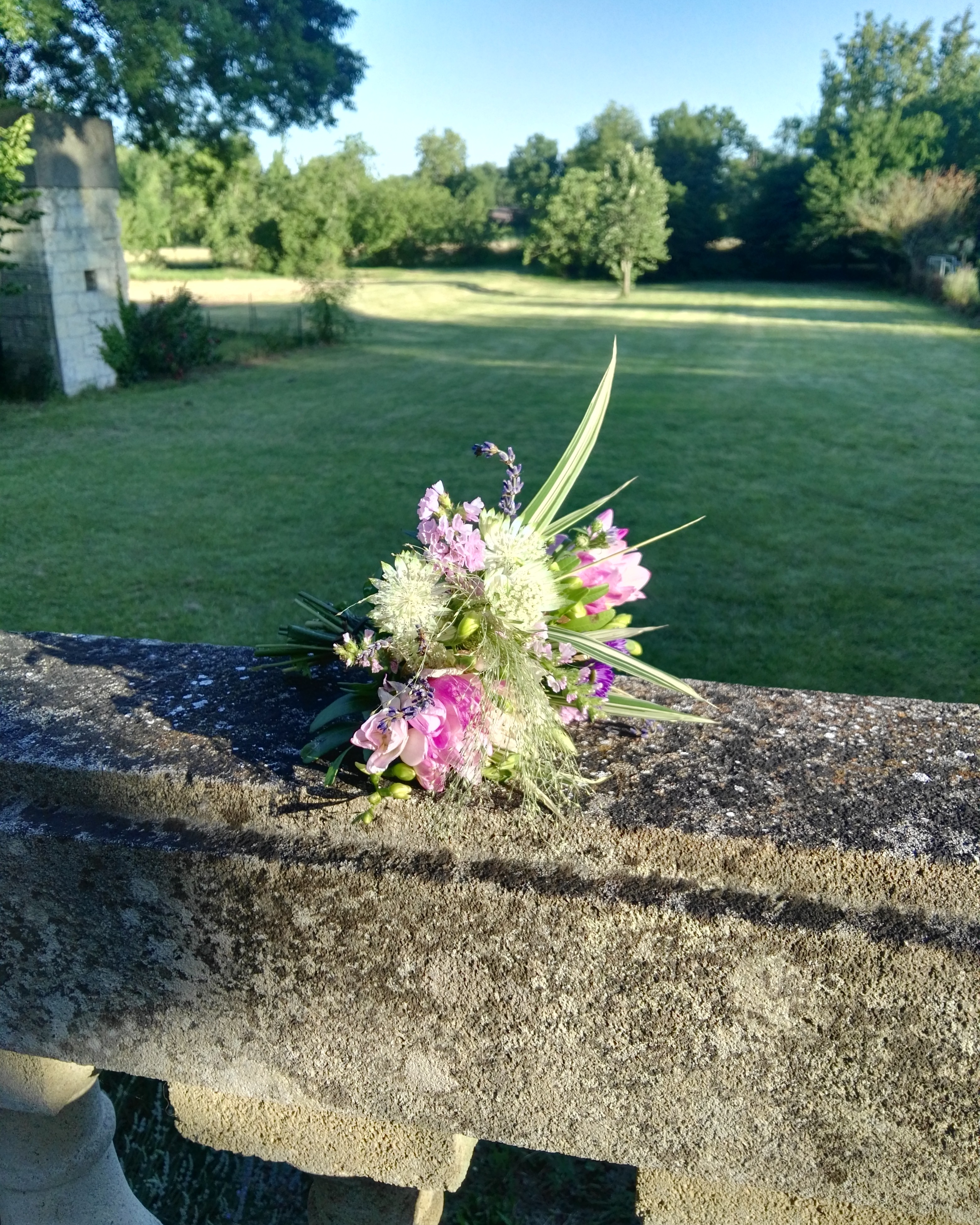 Photo n° 1 de l'avis de Irène.E fait le 23/06/2017 à 09:16