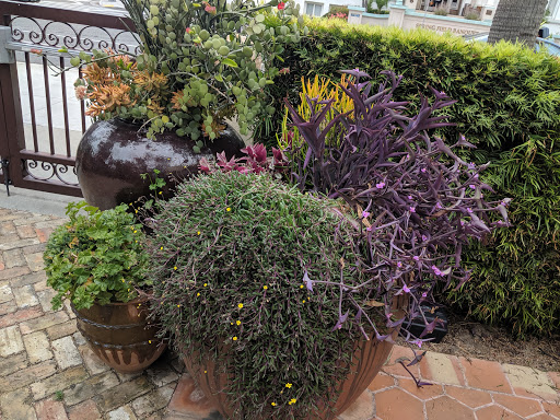 Coffee Shop «Dripp», reviews and photos, 500 N Harbor Blvd Suite B, Fullerton, CA 92832, USA