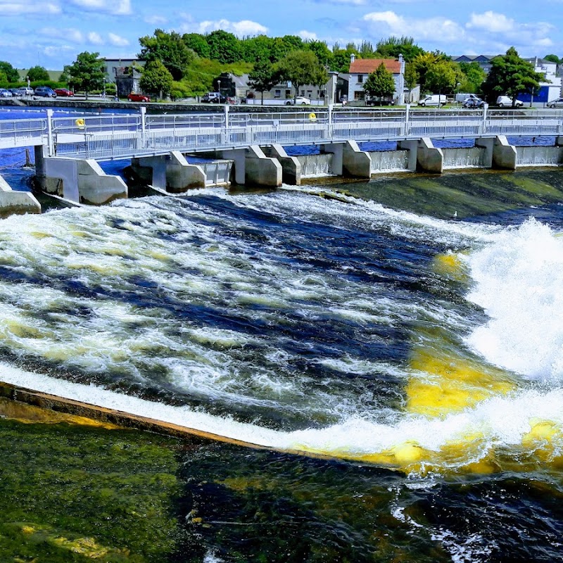 Salmon Weir Gallery