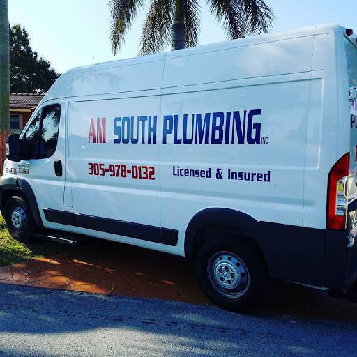 AM South Plumbing Inc in Miami, Florida