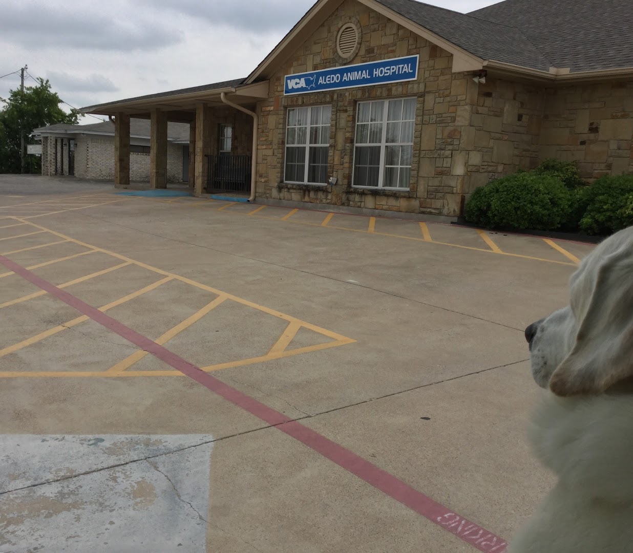 VCA Aledo Animal Hospital