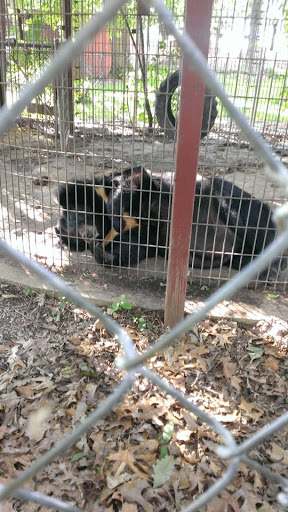 Zoo «Deer Haven Mini Zoo», reviews and photos, 12312 Detour Rd, Keymar, MD 21757, USA
