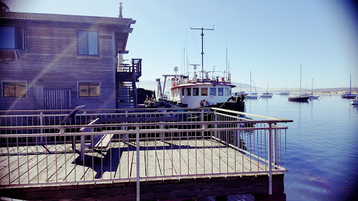 Aquarium «Morro Bay Aquarium and Gift Shop», reviews and photos, 595 Embarcadero, Morro Bay, CA 93442, USA