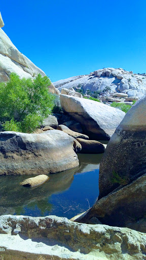 National Park «Joshua Tree National Park», reviews and photos