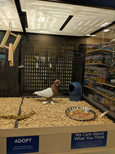 Pet Supply Store «PetSmart», reviews and photos, 7663 Arundel Mills Blvd, Hanover, MD 21076, USA