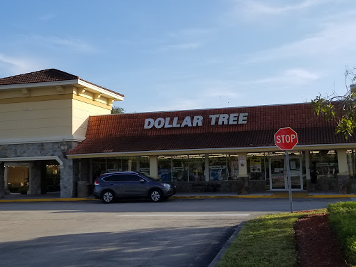 Dollar Store «Dollar Tree», reviews and photos, 10044 Griffin Rd, Cooper City, FL 33328, USA