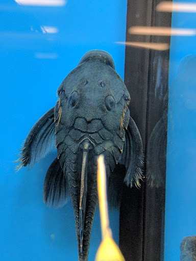 Pet Supply Store «Petco Animal Supplies», reviews and photos, 13691 Ridgedale Dr, Minnetonka, MN 55305, USA