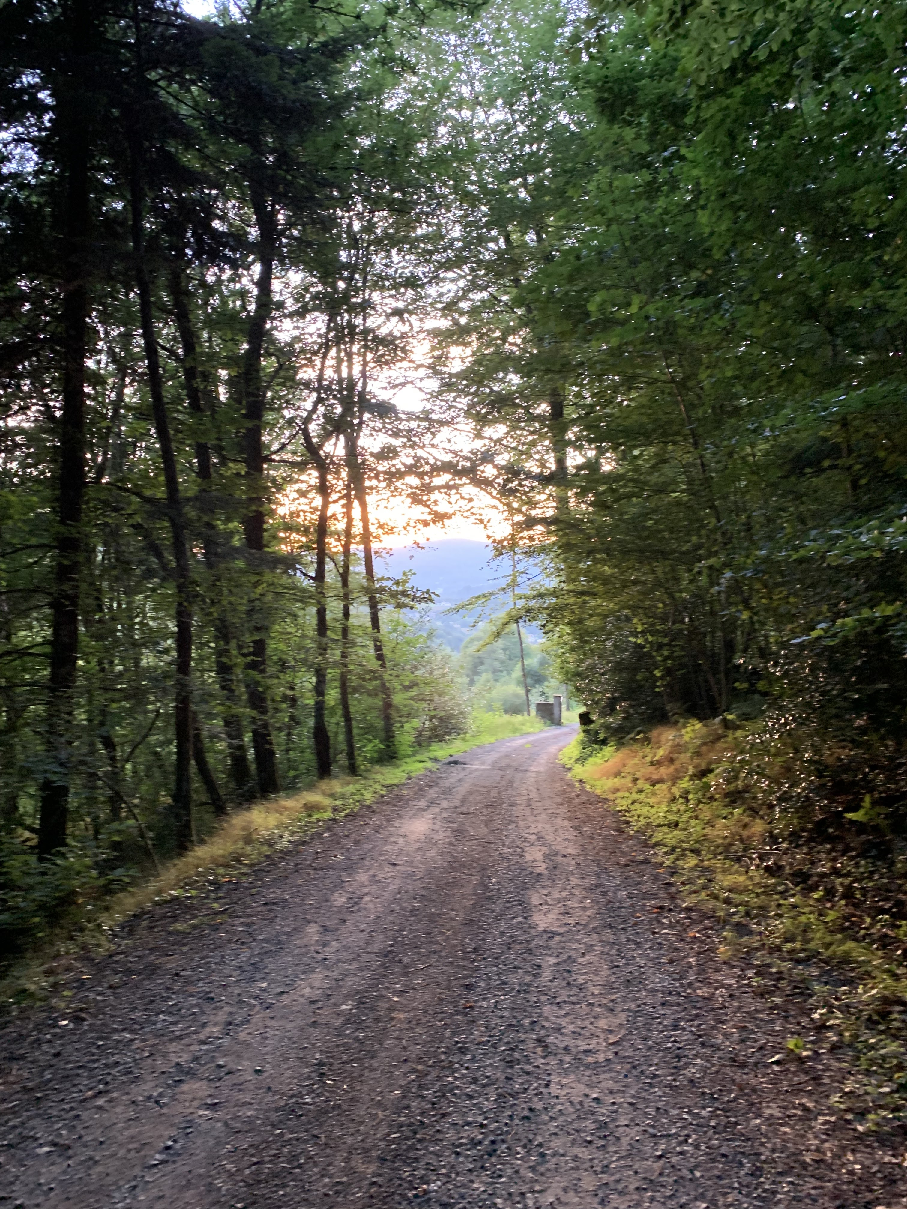 Photo n° 1 de l'avis de Paulin.e fait le 08/08/2021 à 08:17