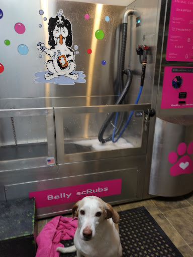 Pet Groomer «Belly scRubs Self Service Pet Wash», reviews and photos, 119 WV-34 #1, Hurricane, WV 25526, USA
