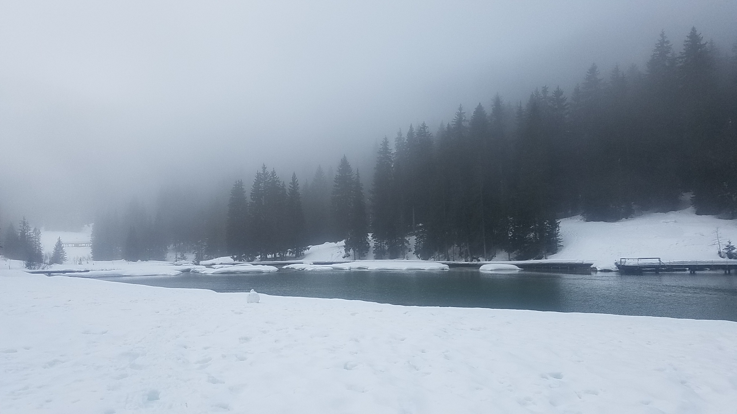 Photo n° 1 de l'avis de ady. fait le 03/05/2019 à 08:26
