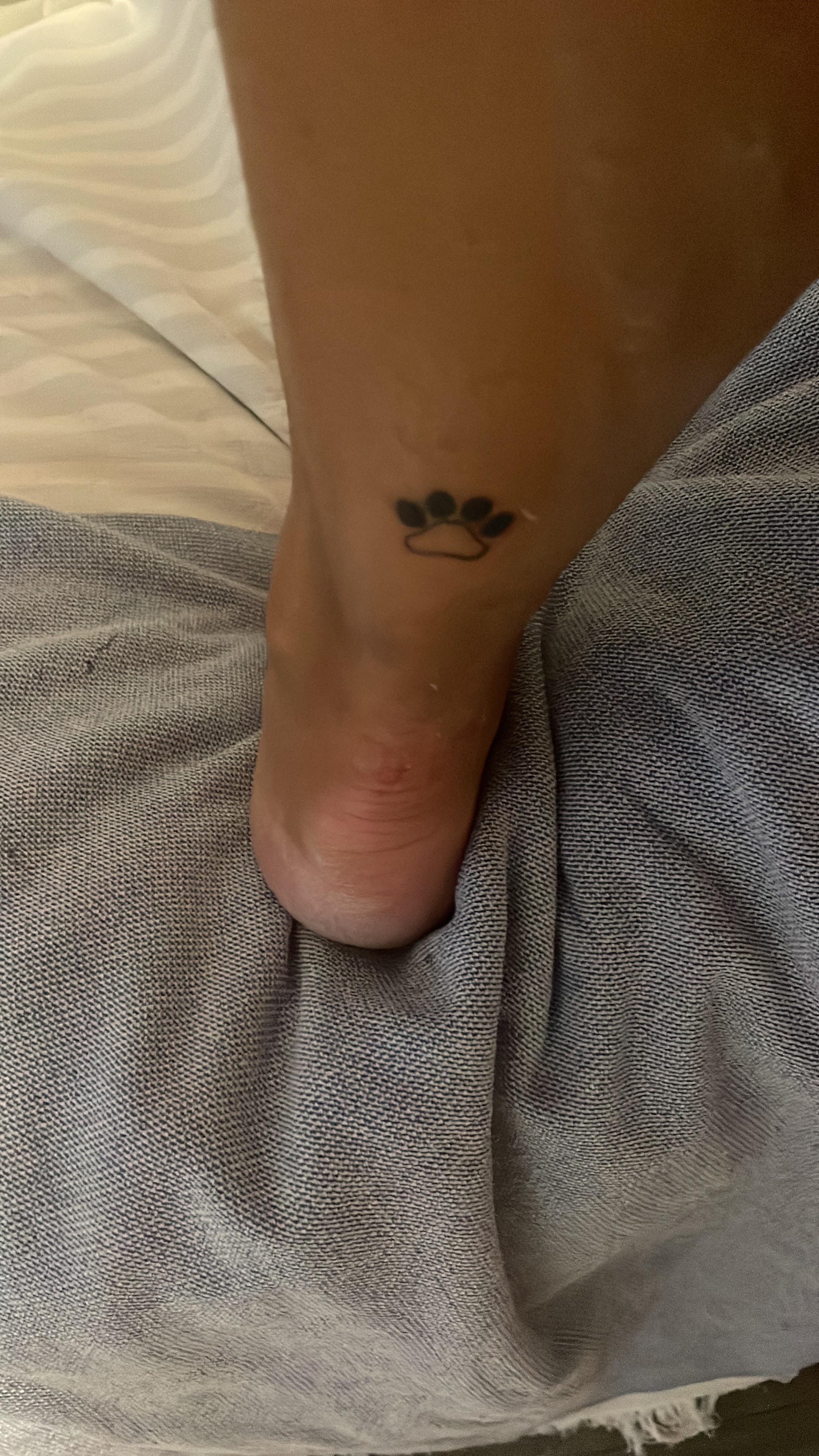 Photo n° 2 de l'avis de Helene.o fait le 06/08/2023 à 09:21