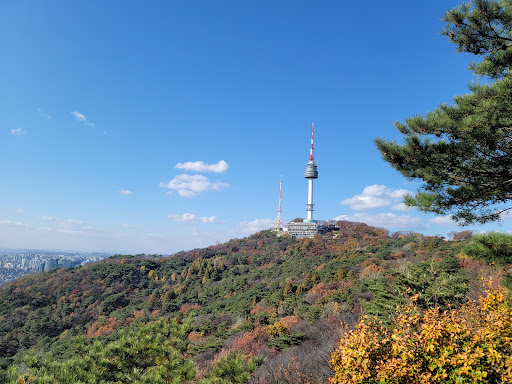 남산 공원