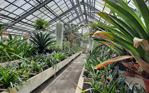 Heidelberg Botanical Garden image