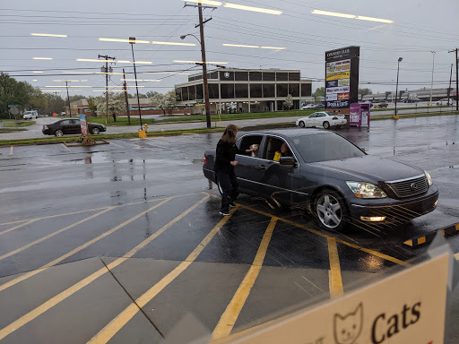 Pet Supply Store «All About Dogs & Cats LLC», reviews and photos, 1429 S Glenstone Ave, Springfield, MO 65804, USA