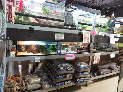 Pet Store «The Pet Shop», reviews and photos, 2235 S Power Rd #107, Mesa, AZ 85209, USA