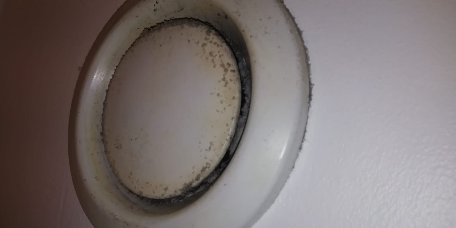 Photo n° 1 de l'avis de Nawelle.a fait le 31/03/2020 à 14:25