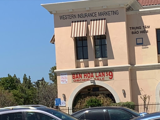 Western Insurance Marketing