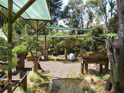 Jardin de Bonsai