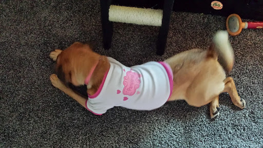 Park «Happy Acres Park», reviews and photos, 11900 7th St NE, Blaine, MN 55434, USA