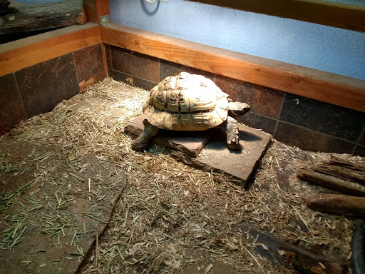 Zoo «Reptile Zoo», reviews and photos, 22715 US-2, Monroe, WA 98272, USA