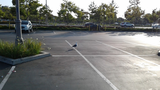 Department Store «Target», reviews and photos, 800 New Los Angeles Ave, Moorpark, CA 93021, USA