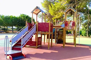 Children's Playground Shaded by Pine Trees image