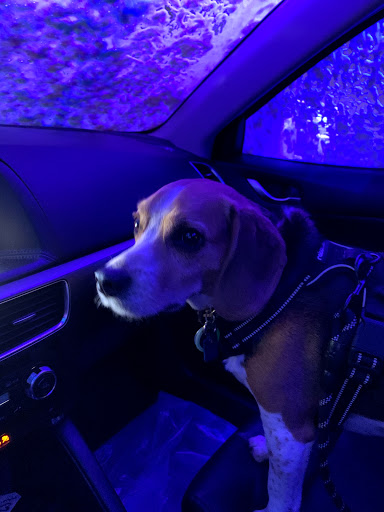 Car Wash «Quick Quack Car Wash - College Oaks», reviews and photos, 49 Bicentennial Cir, Sacramento, CA 95826, USA