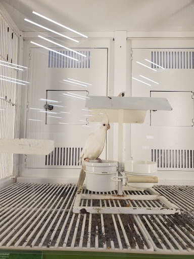 Pet Supply Store «Petco Animal Supplies», reviews and photos, 1500 N Town E Blvd, Mesquite, TX 75150, USA