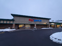 PetSmart - Photo 2 - Car repair in East Aurora, NY, Buffalo