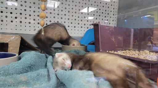 Pet Store «Animal Ark Pet Stores», reviews and photos, 33 Center St, Orem, UT 84057, USA