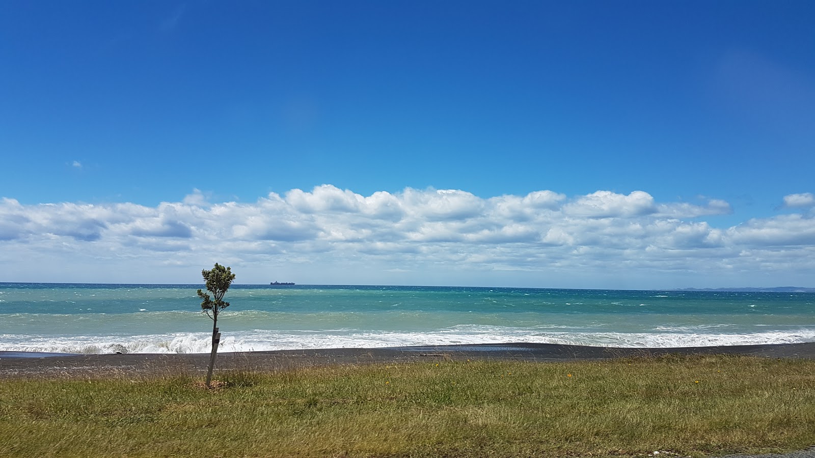 Whirinaki Beach的照片 带有长直海岸