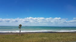 Zdjęcie Whirinaki Beach z proste i długie