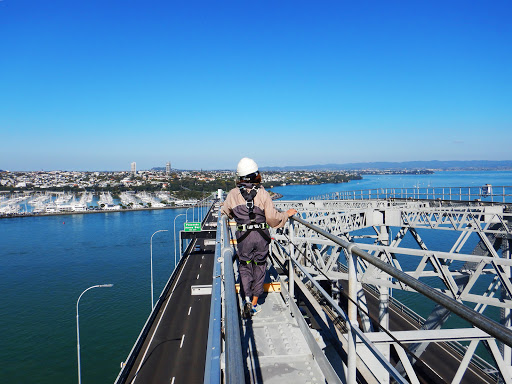 Glass bridge Auckland