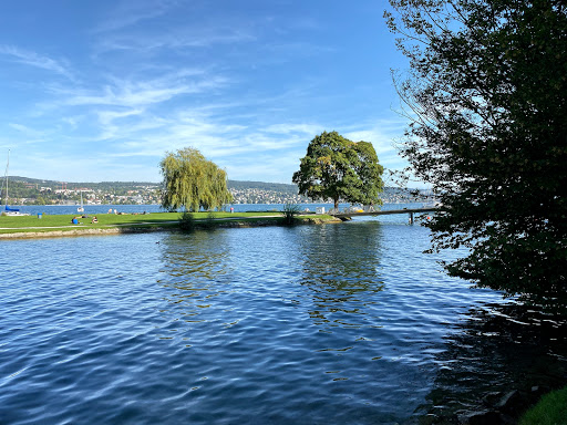 Camping in Zurich