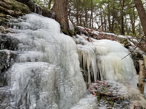 State Park «Wachusett Mountain State Reservation», reviews and photos, 345 Mountain Rd, Princeton, MA 01541, USA