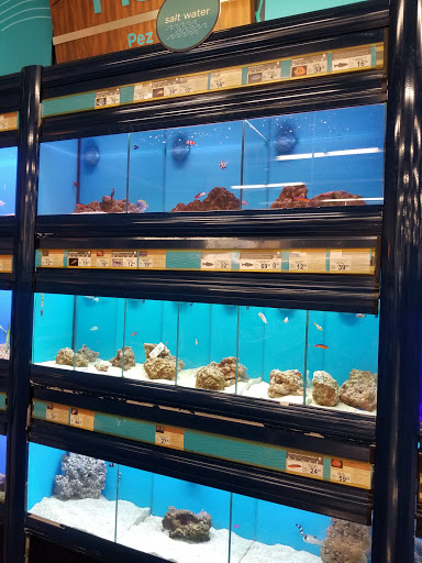 Pet Supply Store «Petco Animal Supplies», reviews and photos, 317 E Trenton Rd, Edinburg, TX 78539, USA