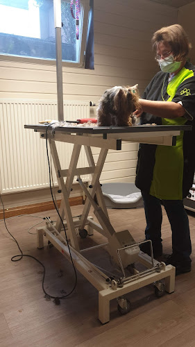 Tierfriseur Hundesalon Hörmann Augsburg