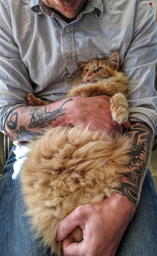 Bakery «Camas Country Bakery and Store», reviews and photos, 91948 Purkerson Rd, Junction City, OR 97448, USA