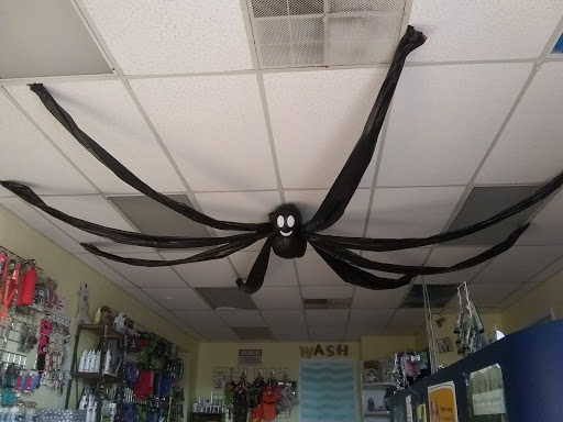 Animal Hospital «Animal Medical Corpus Christi», reviews and photos, 6822 Everhart Rd, Corpus Christi, TX 78413, USA