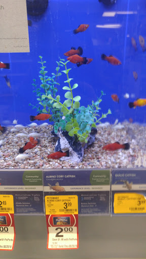 Pet Supply Store «PetSmart», reviews and photos, 2550 Cherry Ave, Signal Hill, CA 90755, USA