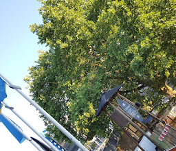 Stranded at Jannowitzbrücke photo