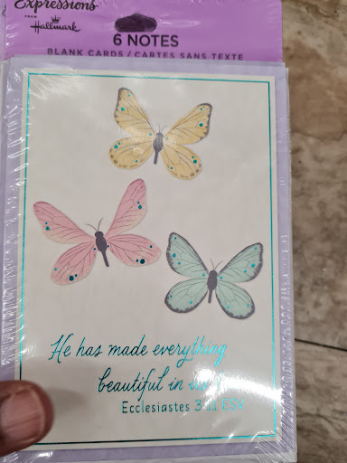 Dollar Store «Dollar Tree», reviews and photos, 1350 S Park Victoria Dr #10, Milpitas, CA 95035, USA