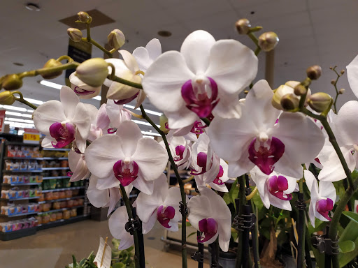 Shopping Mall «The Shops at Lincoln Heights», reviews and photos, 999 E Basse Rd, San Antonio, TX 78209, USA