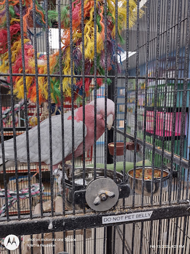Pet Store «Fins Feathers Paws & Claws», reviews and photos, 436 Main St, Harleysville, PA 19438, USA