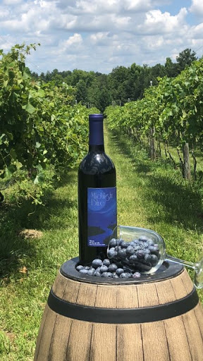 Winery «Little Vine Vineyards», reviews and photos, 665 N Hulett Rd, Villa Rica, GA 30180, USA